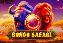 Bongo Safari